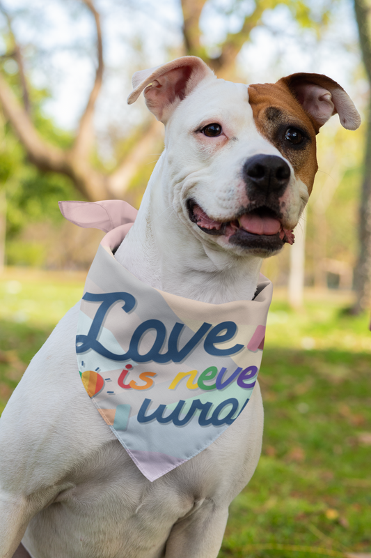 Inclusive Flag Love is Never Wrong bandana